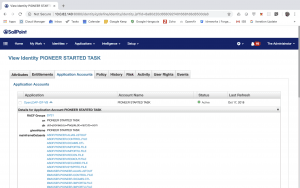 Pioneer Details 300x188 1