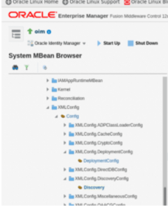 Integrate OIG 12cPS3 and Oracle BI Publisher with 12c 2