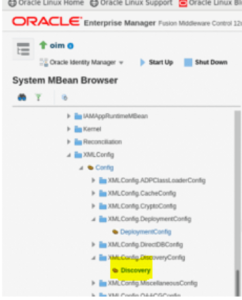 Integrate OIG 12cPS3 and Oracle BI Publisher with 12c 3