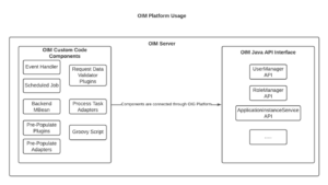 OIM Client vs OIM Platform in Custom Code