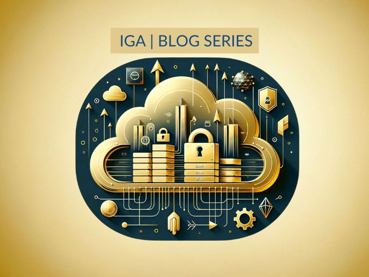 Idmw Blog Iga Series 3 790x525 (1)