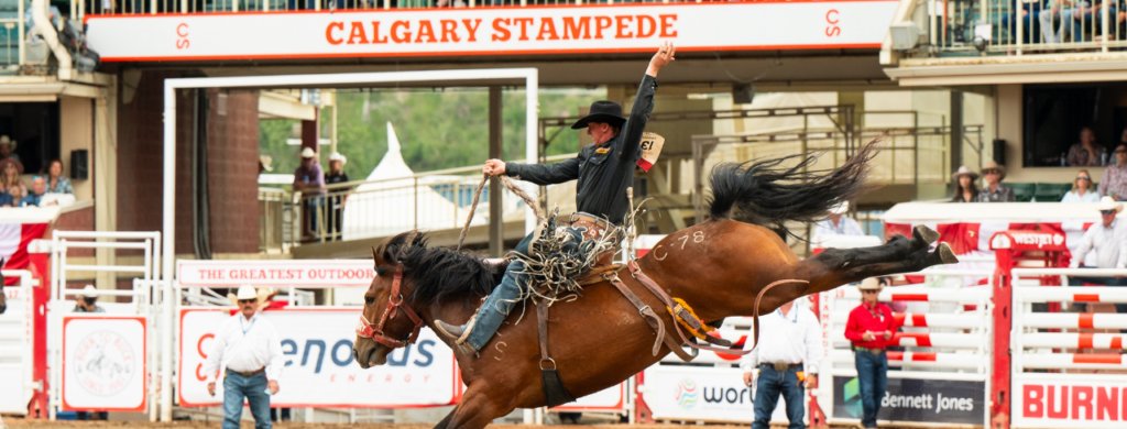 Calgary Stampede with IDMWORKS, SailPoint and Grip Security Image